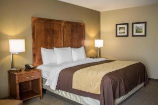 Quality Inn Dover - Dover - 2