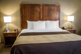 Quality Inn Dover - Dover - 1