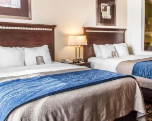 Comfort Inn & Suites - 8