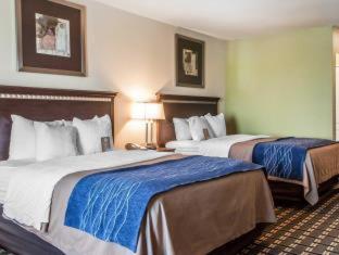 Comfort Inn & Suites - 7