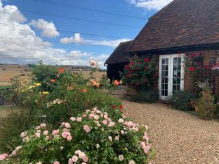 Rose Cottage - 9