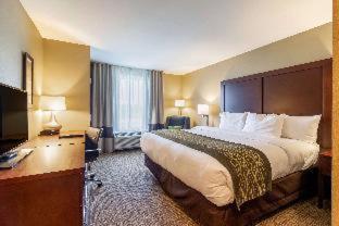 Comfort Inn & Suites - Harrisburg Airport - Hershey South - 9