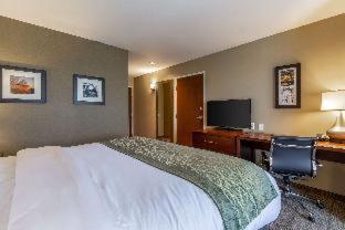 Comfort Inn & Suites - Harrisburg Airport - Hershey South - Middletown - 6