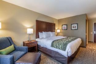 Comfort Inn & Suites - Harrisburg Airport - Hershey South - Middletown - 5