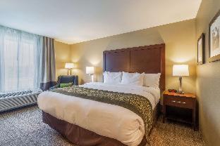 Comfort Inn & Suites - Harrisburg Airport - Hershey South - Middletown - 4