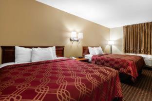 Econo Lodge Inn & Suites Dickson - Dickson - 5