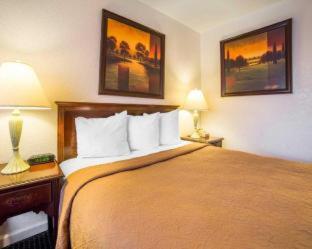 Rodeway Inn at Nevada State Capitol - 8