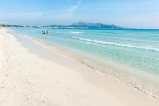 Llepol - Port d'Alcudia - 6