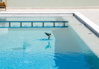 Incognito Creta Luxury Suites and More - 7