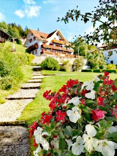 Hotel Sterne - Beatenberg - 6