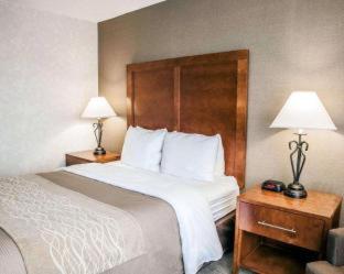 Quality Inn Seekonk-Providence - Seekonk - 9