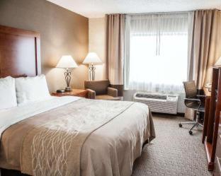 Quality Inn Seekonk-Providence - Seekonk - 8