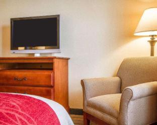 Comfort Inn & Suites Wilton - Wilton - 8