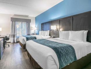 Comfort Inn University - 3