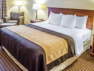 Comfort Inn Mechanicsburg - Harrisburg South - 5