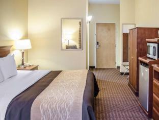 Comfort Inn Mechanicsburg - Harrisburg South - 4