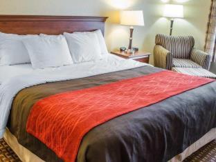 Comfort Inn Mechanicsburg - Harrisburg South - 3