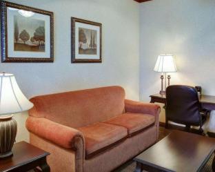 Comfort Suites University Drive - College Station - 7