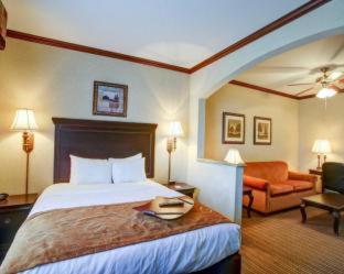 Comfort Suites University Drive - College Station - 4