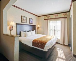 Comfort Suites University Drive - College Station - 3