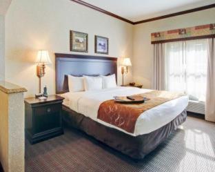 Comfort Suites University Drive - College Station - 1
