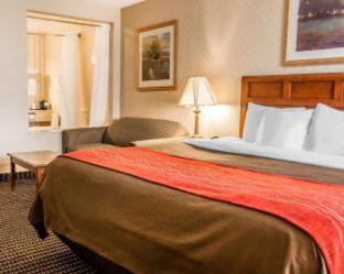 Comfort Inn - 9
