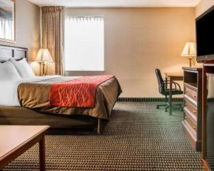 Comfort Inn - 8