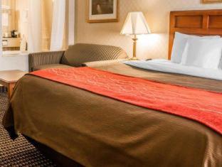 Comfort Inn - 1