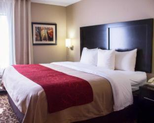 Comfort Inn & Suites Trussville I-59 Exit 141 - Trussville - 5