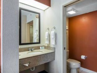 Sleep Inn Lake Wright - Norfolk Airport - 6