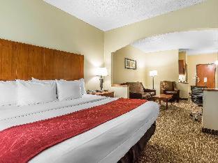 Comfort Suites North Dallas - 8