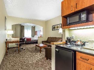 Comfort Suites North Dallas - 3
