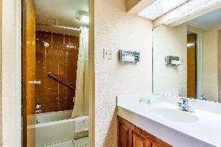 Econo Lodge Rocky Top - 7