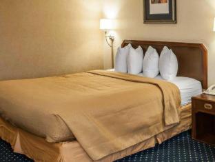 Quality Inn & Suites Goshen - 9
