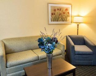 Comfort Suites Nacogdoches - 8