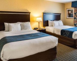 Comfort Suites Nacogdoches - Nacogdoches - 6