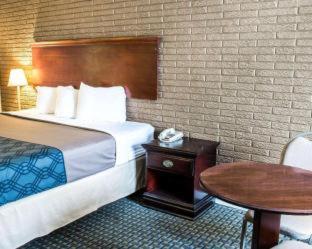 Rodeway Inn & Suites Wilmington North - 3