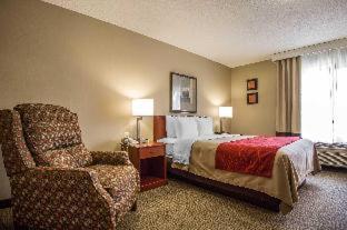 Comfort Inn & Suites - 2