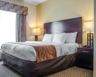 Cicero Grand - Syracuse North - Cicero - 4