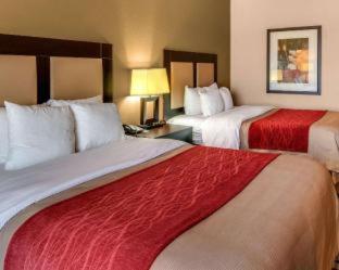 Comfort Inn & Suites Paris - Paris - 4