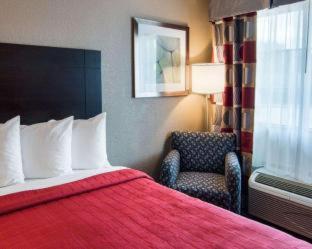 Quality Inn near Parc Natchitoches - Natchitoches - 9