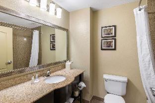 Comfort Inn & Suites Cedar Hill Duncanville - 9