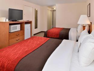 Quality Inn Selinsgrove - 5