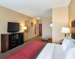 Comfort Inn & Suites Monahans I-20 - Monahans - 7