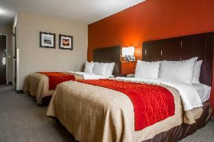 Wingate by Wyndham Biloxi - Ocean Springs - Biloxi - 5
