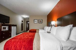 Wingate by Wyndham Biloxi - Ocean Springs - Biloxi - 4
