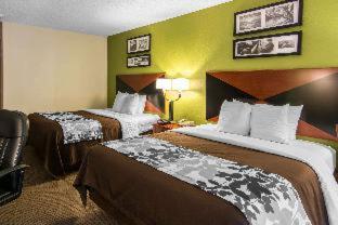 Sleep Inn & Suites near Fort Gregg-Adams - 3