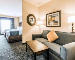 Comfort Suites Pell City I-20 exit 158 - 9