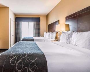 Comfort Suites Pell City I-20 exit 158 - 8