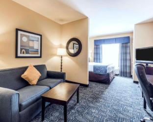 Comfort Suites Pell City I-20 exit 158 - 7